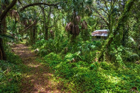 Terreno en venta en Tampa, Florida № 1319440 - foto 4