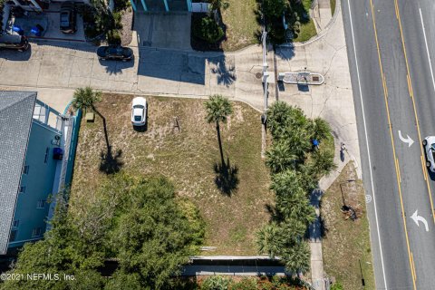 Купить земельный участок в Нейплс, Флорида № 765441 - фото 11