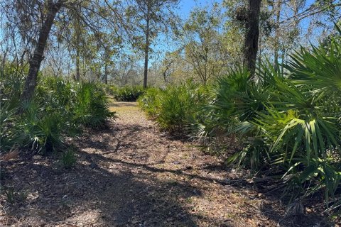 Terreno en venta en Arcadia, Florida № 1401842 - foto 3