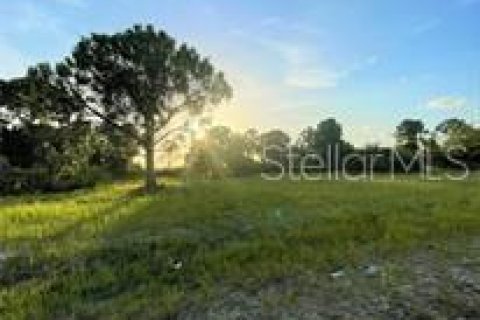 Купить земельный участок в Кейп-Корал, Флорида № 637786 - фото 5