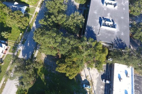 Купить земельный участок в Уинтер-Хейвен, Флорида № 958140 - фото 2