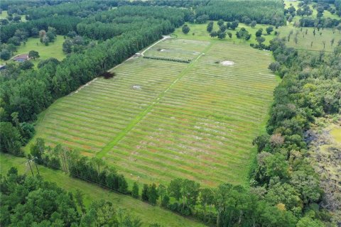 Land in Reddick, Florida № 1370988 - photo 1