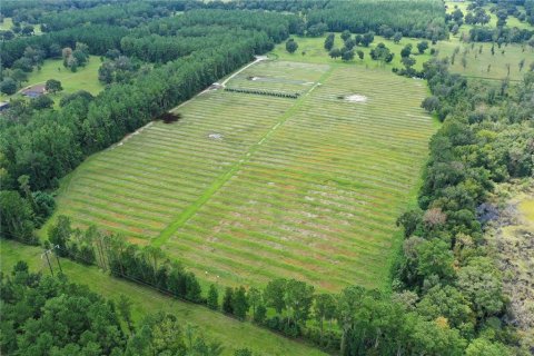 Land in Reddick, Florida № 1370988 - photo 2