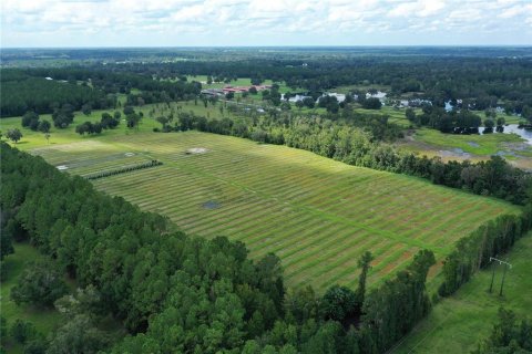 Terreno en venta en Reddick, Florida № 1370988 - foto 4