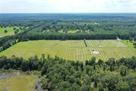 Land in Reddick, Florida № 1370988 - photo 9