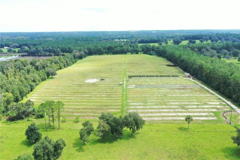 Land in Reddick, Florida № 1370988 - photo 6