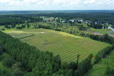 Land in Reddick, Florida № 1370988 - photo 5