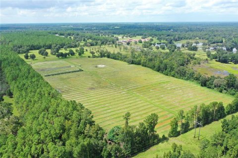 Terreno en venta en Reddick, Florida № 1370988 - foto 8