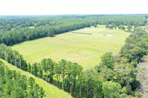 Land in Reddick, Florida № 1370988 - photo 7