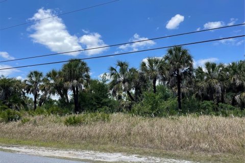 Land in North Port, Florida № 1148676 - photo 7