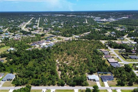 Land in North Port, Florida № 1148676 - photo 3