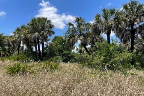 Land in North Port, Florida № 1148676 - photo 12