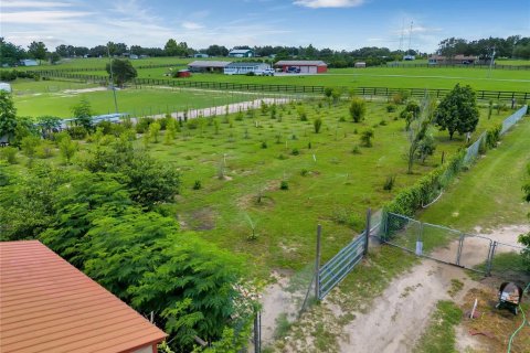 Land in Groveland, Florida № 1336844 - photo 22