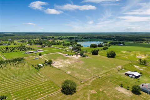 Land in Groveland, Florida № 1336844 - photo 25