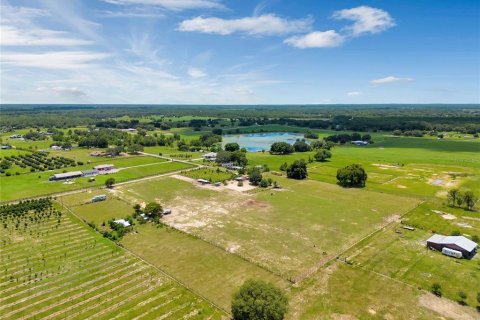 Terreno en venta en Groveland, Florida № 1336844 - foto 26