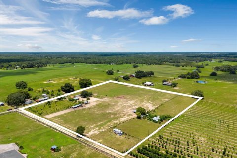 Land in Groveland, Florida № 1336844 - photo 1