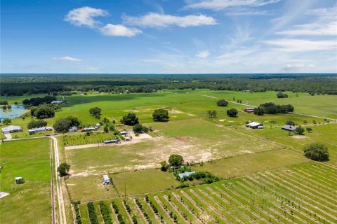 Terreno en venta en Groveland, Florida № 1336844 - foto 27