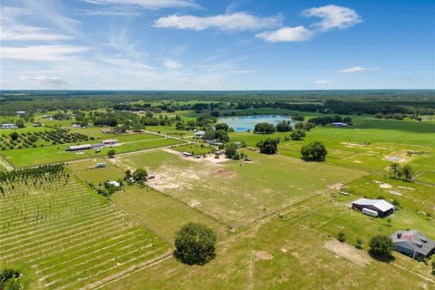 Land in Groveland, Florida № 1336844 - photo 7