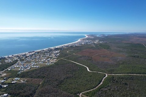 Commercial property in Mexico Beach, Florida № 589982 - photo 6