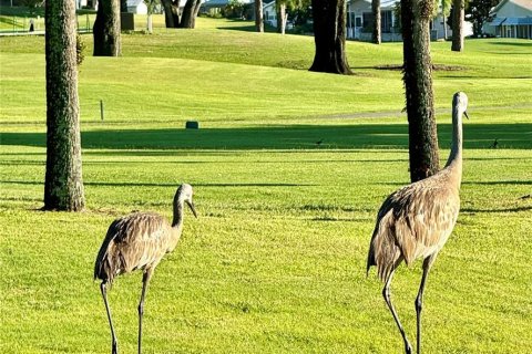 Terreno en venta en Davenport, Florida № 1254863 - foto 25