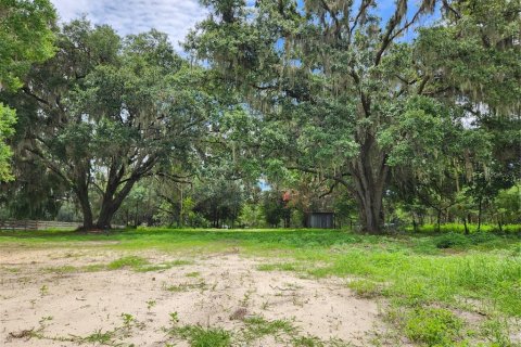 Terrain à vendre à Zephyrhills, Floride № 1277318 - photo 3