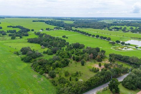 Terreno en venta en Zephyrhills, Florida № 1277318 - foto 7