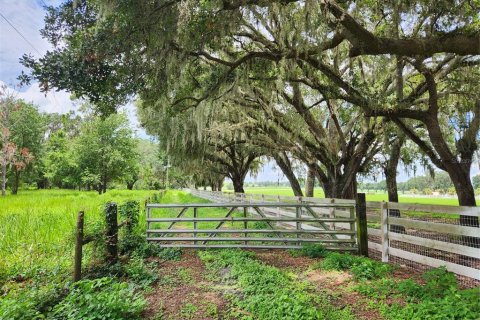 Land in Zephyrhills, Florida № 1277318 - photo 2