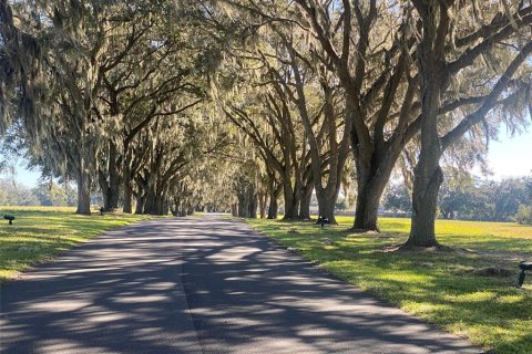 Terreno en venta en Ocala, Florida № 1308184 - foto 8