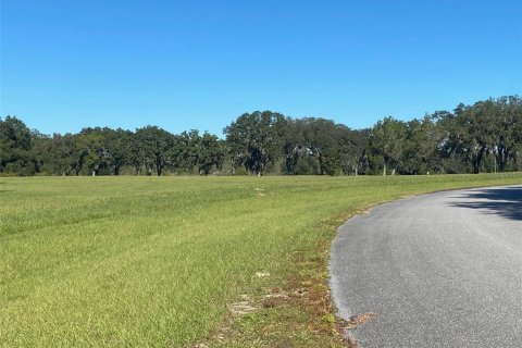 Terrain à vendre à Ocala, Floride № 1308184 - photo 6