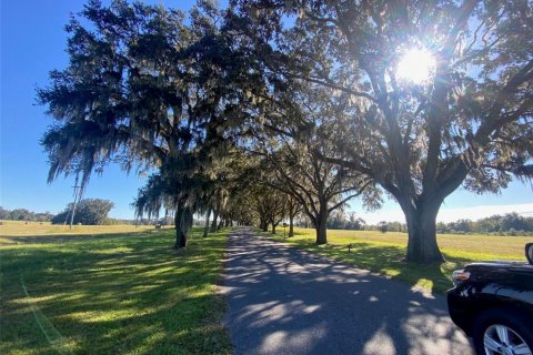 Terreno en venta en Ocala, Florida № 1308184 - foto 3