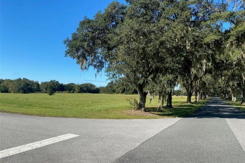 Terrain à vendre à Ocala, Floride № 1308184 - photo 5