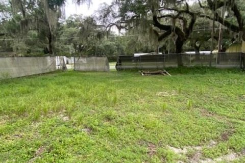 Terreno en venta en Leesburg, Florida № 1296566 - foto 1