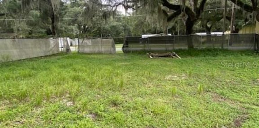 Terreno en Leesburg, Florida № 1296566