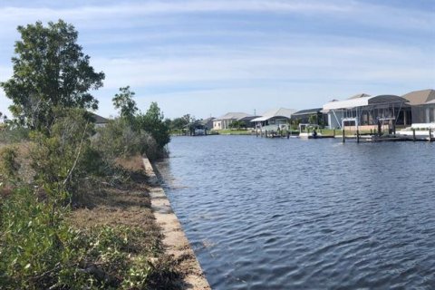 Land in Port Charlotte, Florida № 955578 - photo 1