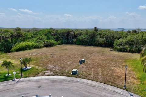 Купить земельный участок в Хатчинсон-Айленд-Саут, Флорида № 1121441 - фото 3