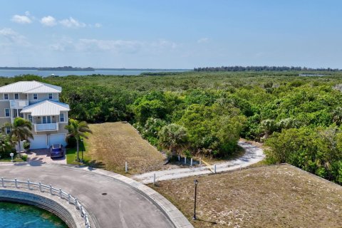 Купить земельный участок в Хатчинсон-Айленд-Саут, Флорида № 1121441 - фото 5