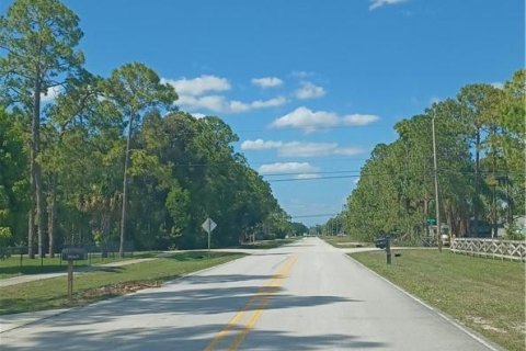 Terrain à vendre à Loxahatchee Groves, Floride № 947808 - photo 1