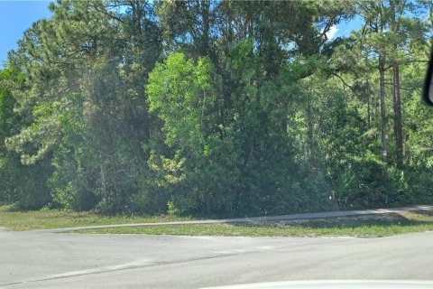Terrain à vendre à Loxahatchee Groves, Floride № 947808 - photo 2