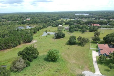 Villa ou maison à vendre à Odessa, Floride: 3 chambres, 243.59 m2 № 1390508 - photo 11