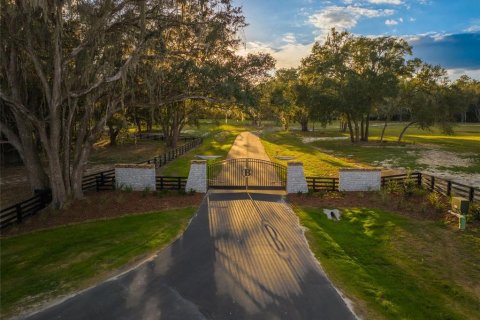 Land in Newberry, Florida № 1340700 - photo 1