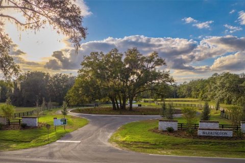 Terreno en venta en Newberry, Florida № 1340700 - foto 2