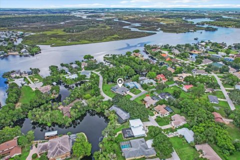 Villa ou maison à vendre à Homosassa, Floride: 4 chambres, 284.19 m2 № 1342795 - photo 3