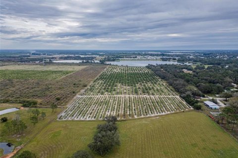 Land in Avon Park, Florida № 1346067 - photo 2