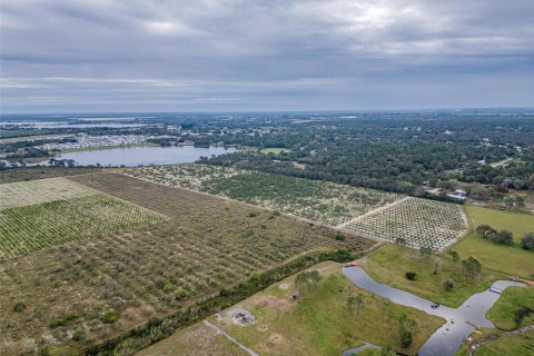 Land in Avon Park, Florida № 1346067 - photo 16