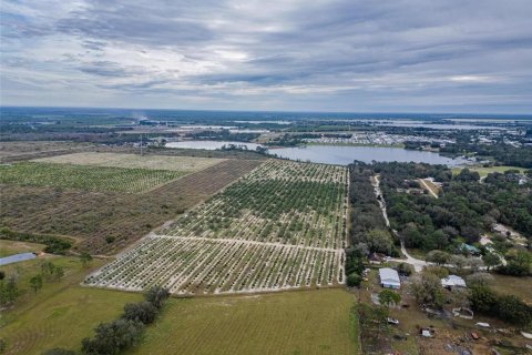 Land in Avon Park, Florida № 1346067 - photo 5