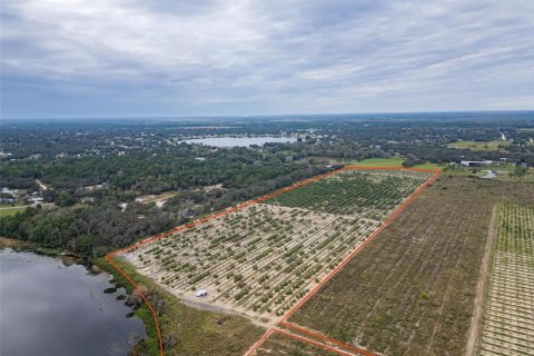 Land in Avon Park, Florida № 1346067 - photo 6