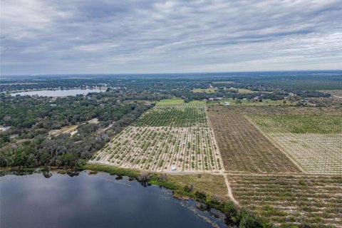 Land in Avon Park, Florida № 1346067 - photo 15