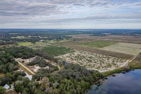 Land in Avon Park, Florida № 1346067 - photo 4