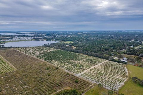 Land in Avon Park, Florida № 1346067 - photo 7