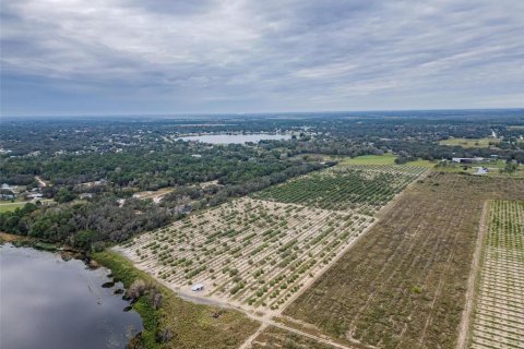 Land in Avon Park, Florida № 1346067 - photo 9